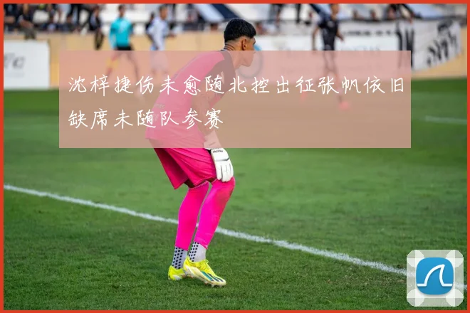 沈梓捷伤未愈随北控出征张帆依旧缺席未随队参赛